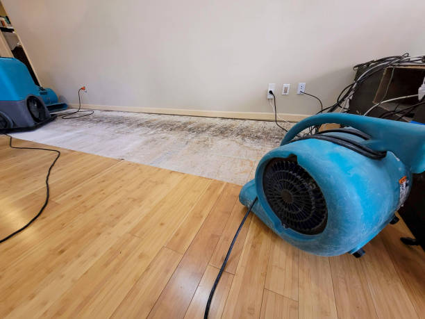 Professional Structural Drying technician working in Sterling, KS